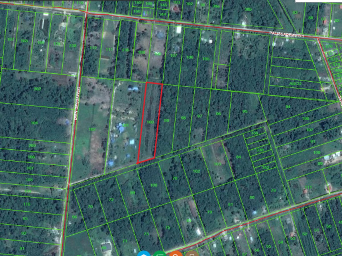 1,45 ha, Grondhuur, Palisadenweg 1, Boswachterstraat, hoogland, achter een vakantieoord - Hoofdfoto