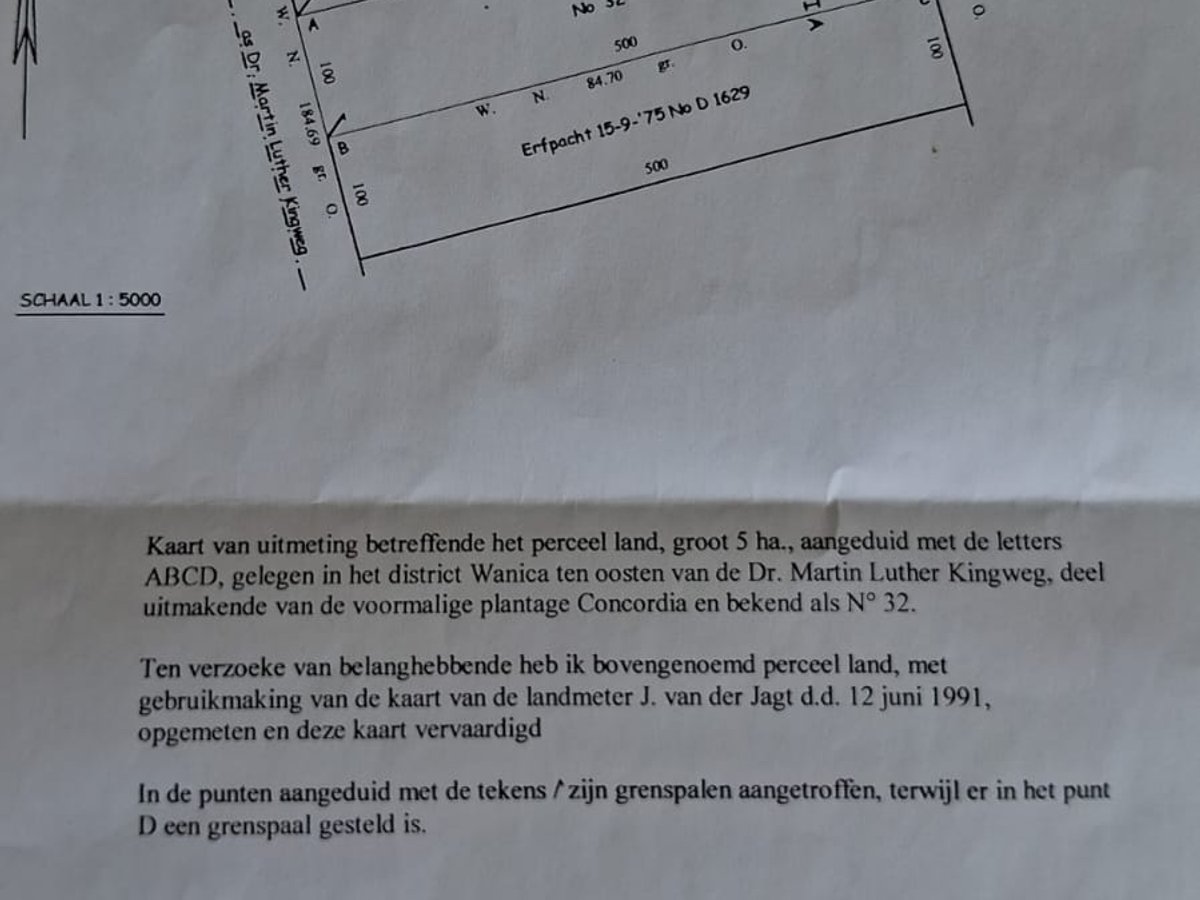 Grondhuur, verl. Welgedacht C weg , groot 1.86 ha. Weiland met koeien. Zeer geschikt voor verkaveling - Foto 2