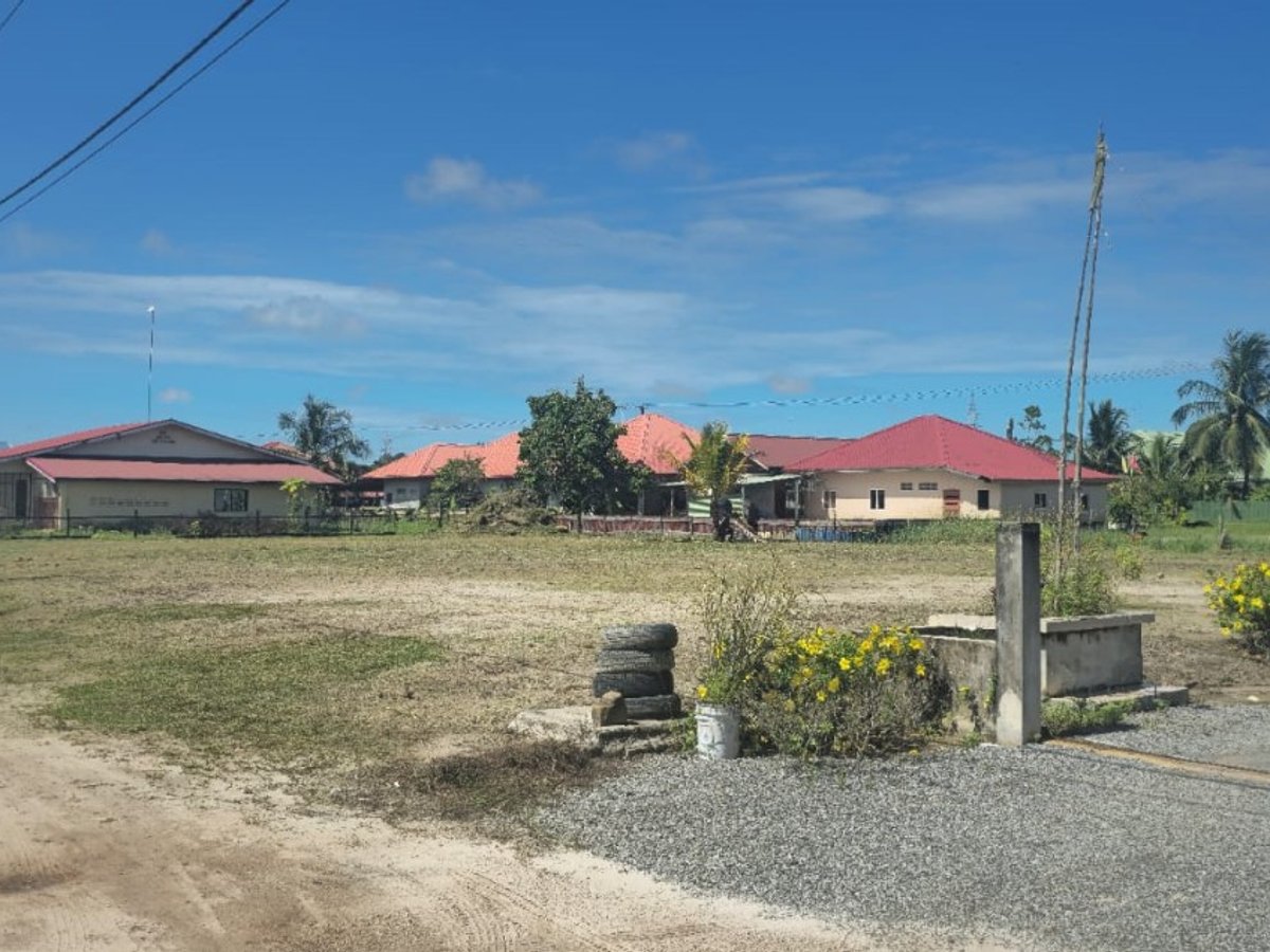 Houttuinweg, Grondhuur, 2,5 ha, geschikt voor Landbouw en Veeteelt, Geasfalteerde weg met alle nutsvoorzieningen - Foto 2