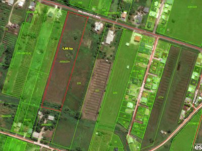 Grondhuur, Domburg, La Recontre 6e zijstraat. Perceel nr 84 (45x254m). Goed onderhouden met fruitbomen als Citrus, Mope, Manja, Sweetbonki, Awara, Co - Foto 2